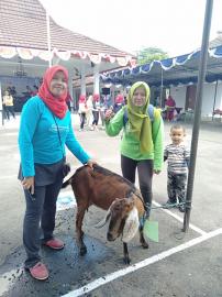 JALAN SEHAT KECAMATAN WARGA PATUK DAPAT KAMBING